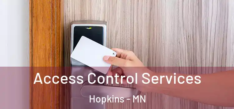 Access Control Services Hopkins - MN