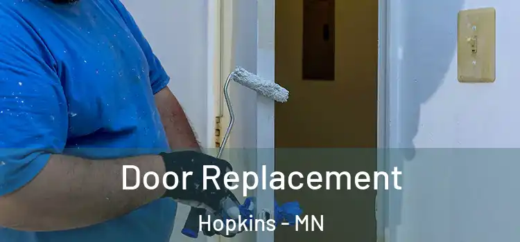 Door Replacement Hopkins - MN