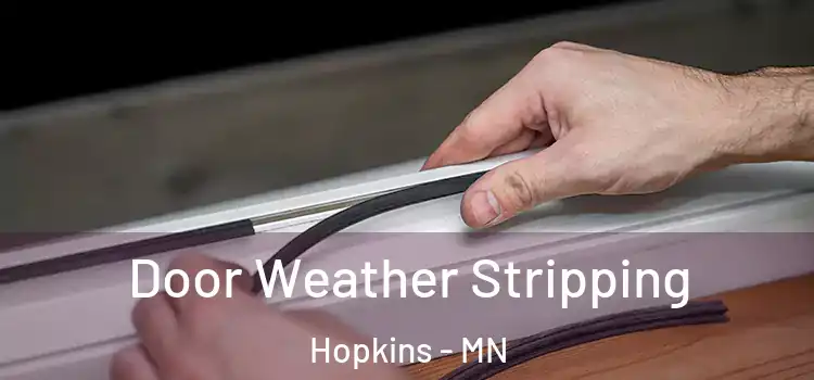  Door Weather Stripping Hopkins - MN