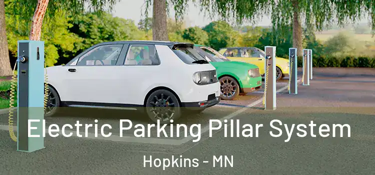 Electric Parking Pillar System Hopkins - MN