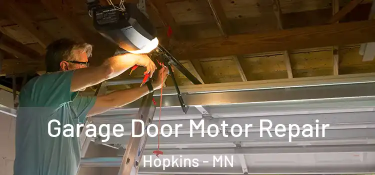  Garage Door Motor Repair Hopkins - MN