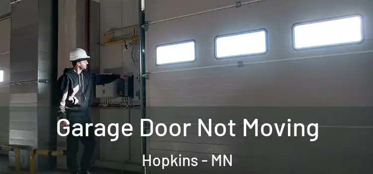  Garage Door Not Moving Hopkins - MN