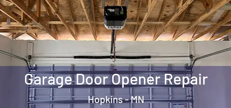  Garage Door Opener Repair Hopkins - MN