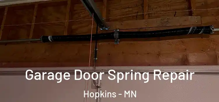  Garage Door Spring Repair Hopkins - MN