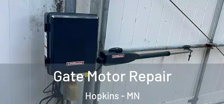 Gate Motor Repair Hopkins - MN