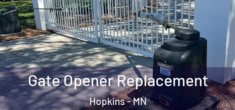 Gate Opener Replacement Hopkins - MN