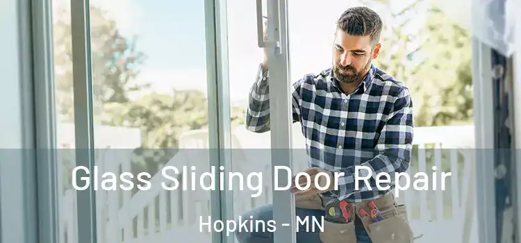  Glass Sliding Door Repair Hopkins - MN