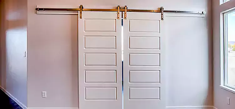 Glass Barn Door with Installation Hardware Kit Hopkins