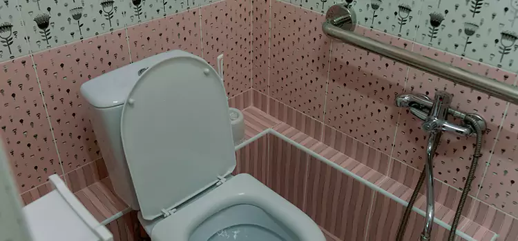 Meeting Diverse Needs With Accessible Restroom Solutions in Hopkins, MN
