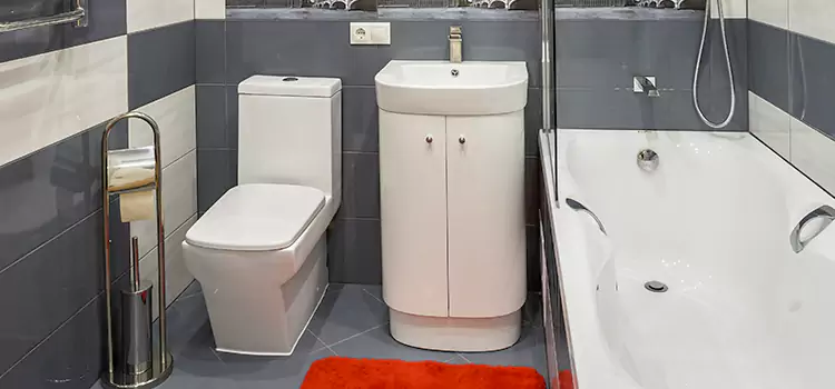 Hansgrohe Shaving Mirror Hopkins