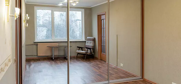 Mirror Closet Door Roller Replacement Hopkins