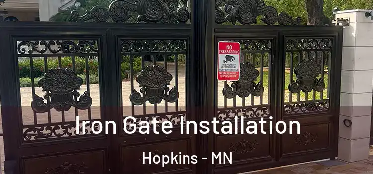 Iron Gate Installation Hopkins - MN