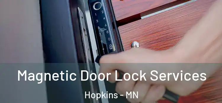 Magnetic Door Lock Services Hopkins - MN