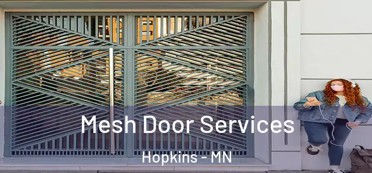  Mesh Door Services Hopkins - MN