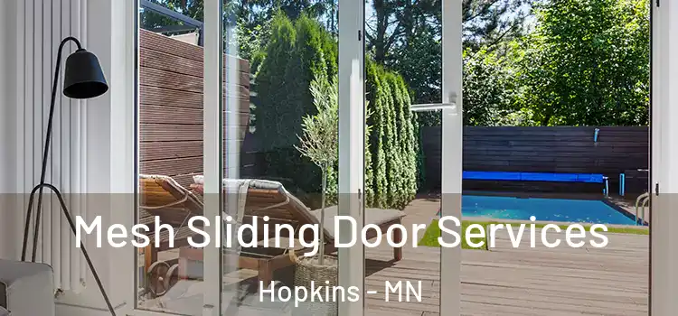 Mesh Sliding Door Services Hopkins - MN