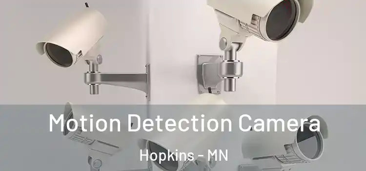  Motion Detection Camera Hopkins - MN