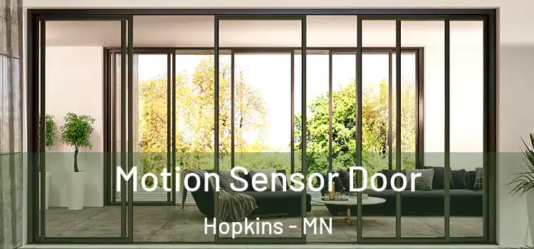 Motion Sensor Door Hopkins - MN