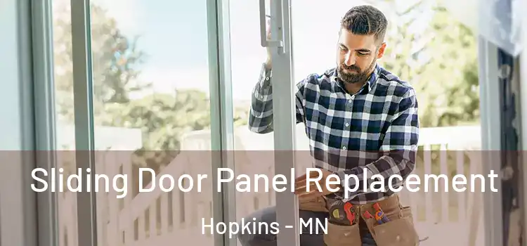  Sliding Door Panel Replacement Hopkins - MN