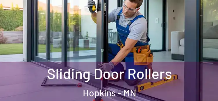 Sliding Door Rollers Hopkins - MN