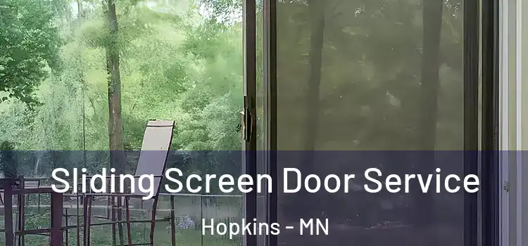 Sliding Screen Door Service Hopkins - MN